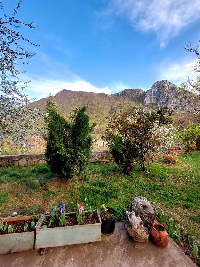 Incredible Apartment With A Mountain View - Matka Скоп'є Екстер'єр фото